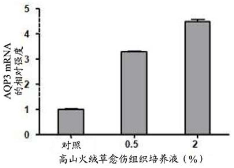 Skin external preparation composition containing alpine edelweiss plant cell culture extract and its manufacturing method