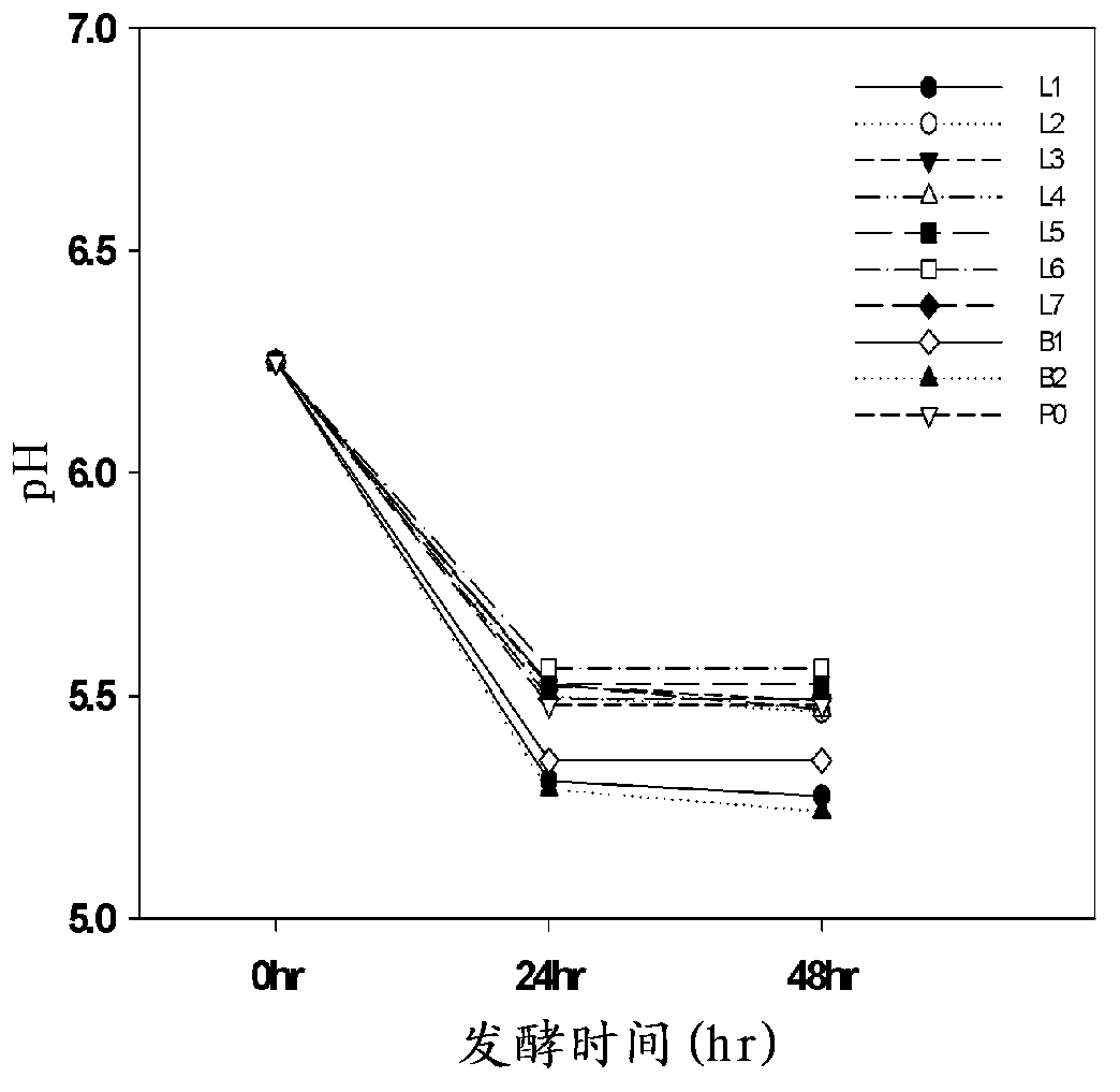 Preparation method for rhodiola rosea ferment by using red ginseng and composition containing same and capable of improving fatigue and increasing exercise capacity