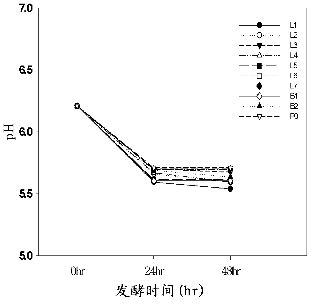 Preparation method for rhodiola rosea ferment by using red ginseng and composition containing same and capable of improving fatigue and increasing exercise capacity