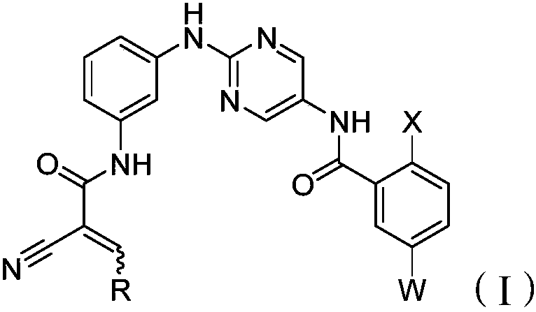 Bruton's tyrosine kinase inhibitor