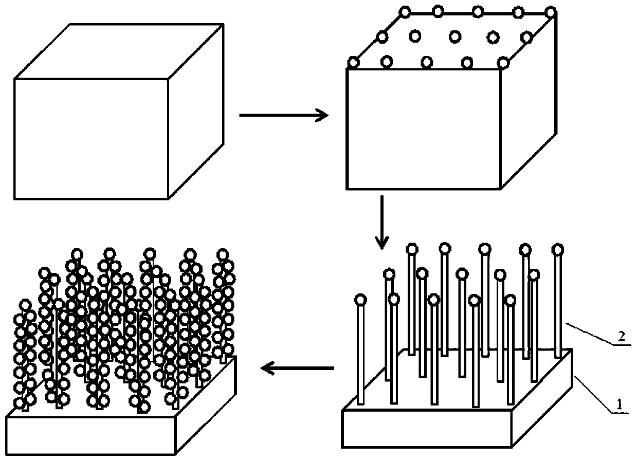 A kind of high surface area solid polymer membrane electrode and preparation method thereof