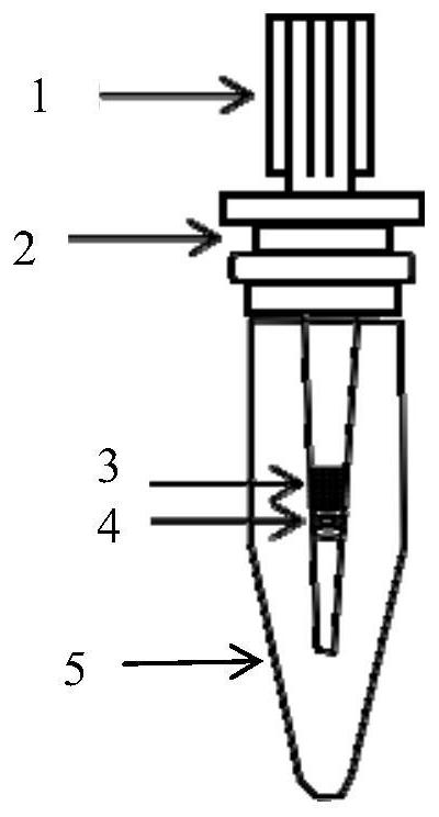 A mini protein reactor for proteome sample preparation and its application