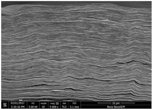 Graphene foam and preparation method thereof, graphene carbon composite material and preparation method thereof