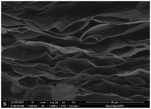 Graphene foam and preparation method thereof, graphene carbon composite material and preparation method thereof