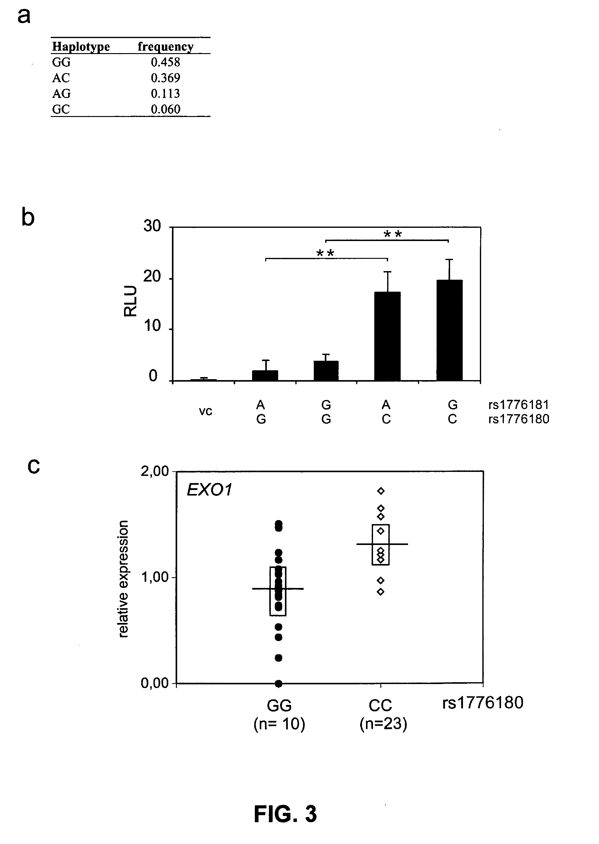 EXO1 Promotor Polymorphism Associated with Exceptional Life Expectancy in Humans