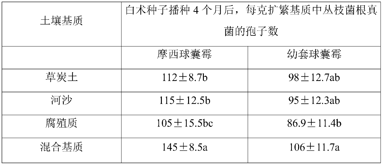 A method for improving the growth and drought resistance of Atractylodes macrocephala seedlings