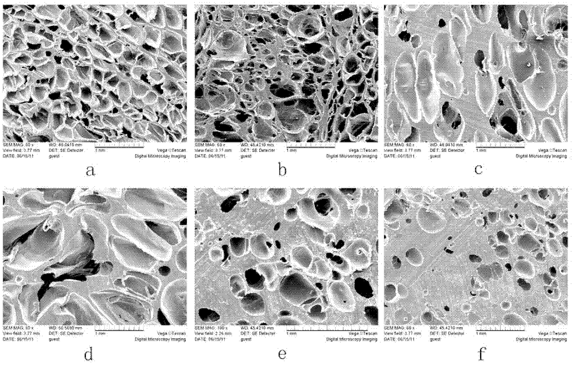 Polyvinyl alcohol foaming material and manufacture method thereof