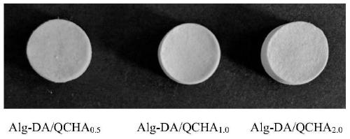A kind of preparation method of alginic acid-dopamine/nano hydroxyapatite composite scaffold