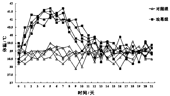 Goat herpes virus type I vaccine strain and its application