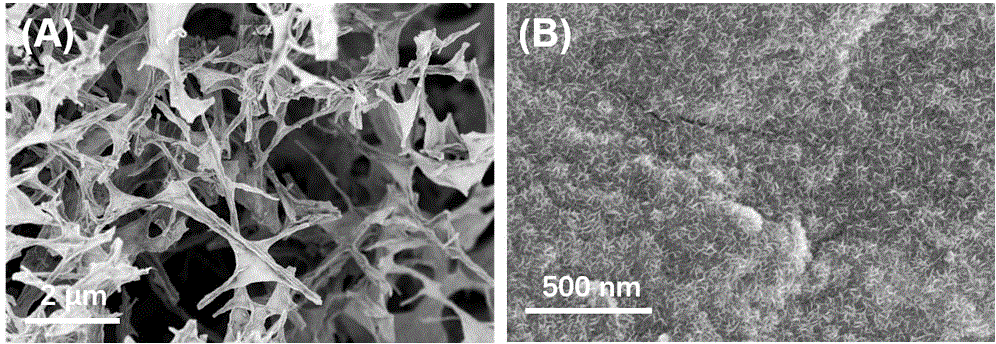 Molybdenum selenide/graphene/carbon nanotube composite material and preparation method thereof