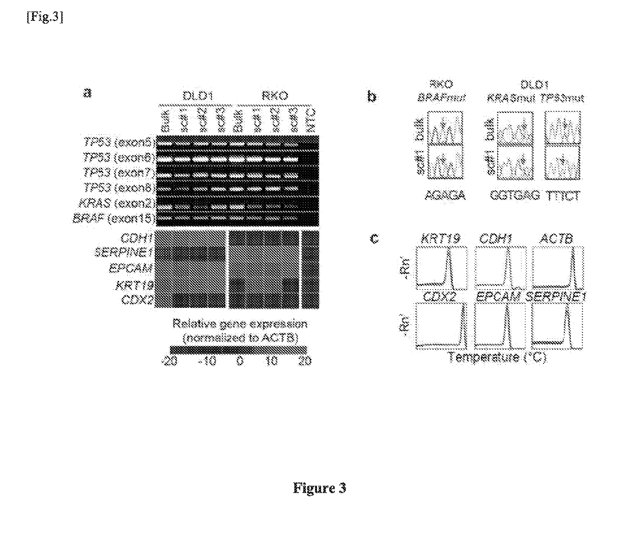 Single cell RNA and mutational analysis PCR (scrm-PCR): a method for simultaneous analysis of DNA and RNA at the single-cell level