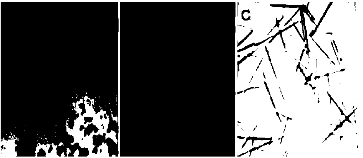 Method for preparing stable insulin aspart crystal