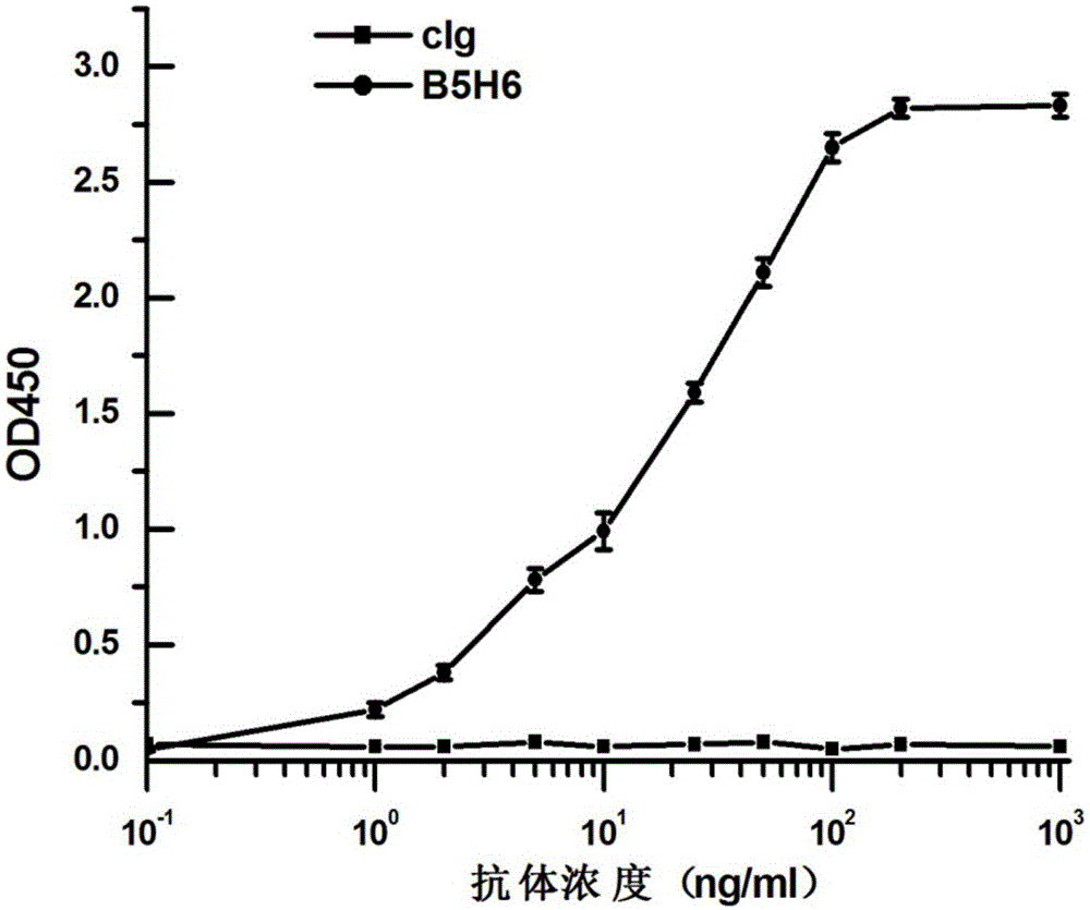 Preparation method and application of completely humanized monoclonal antibody aiming at hepatitis B virus (HBV) surface protein