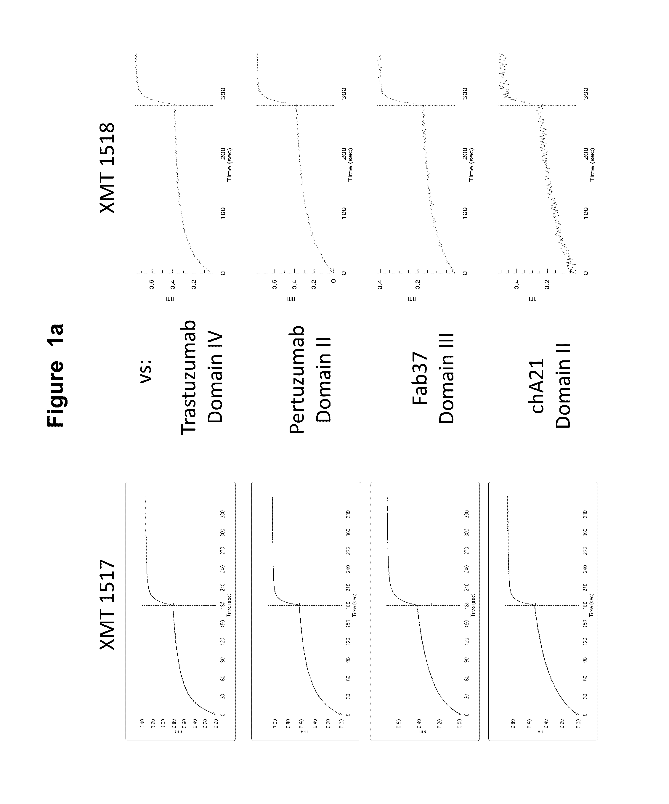 Monoclonal antibodies against HER2 epitope and methods of use thereof