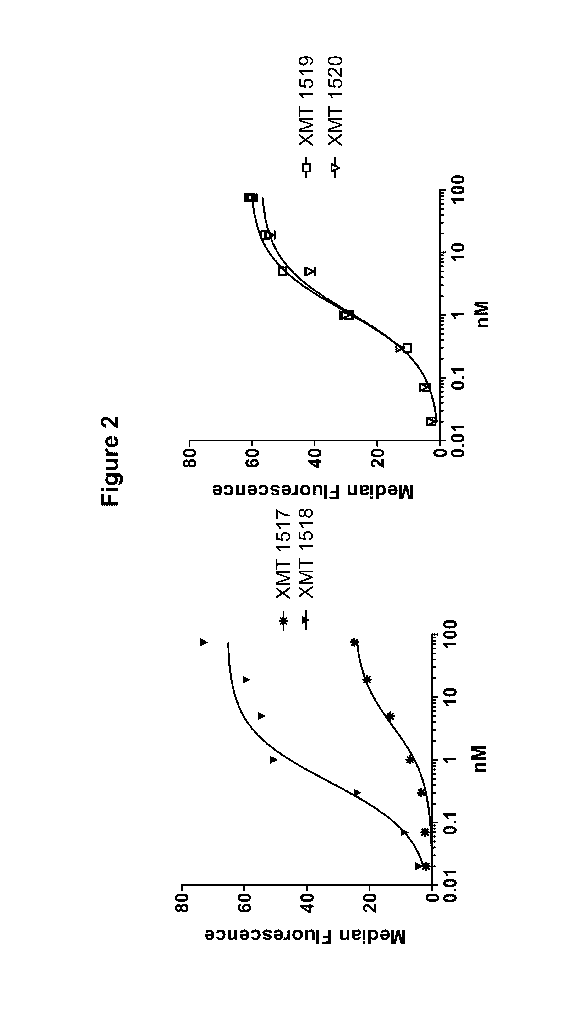 Monoclonal antibodies against HER2 epitope and methods of use thereof