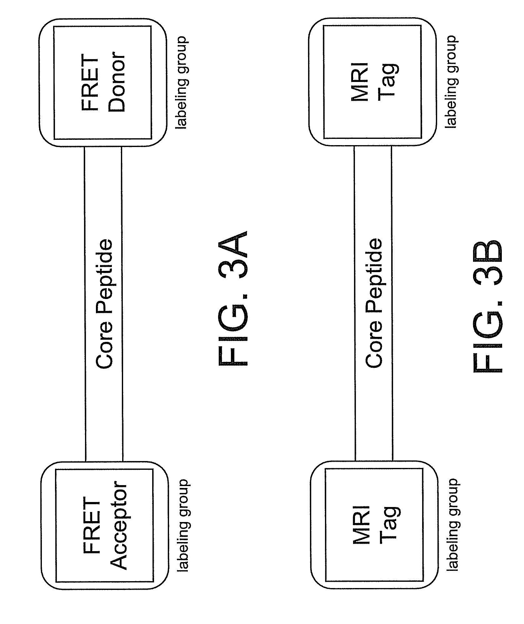 Smart contrast agent and detection method for detecting transition metal ions