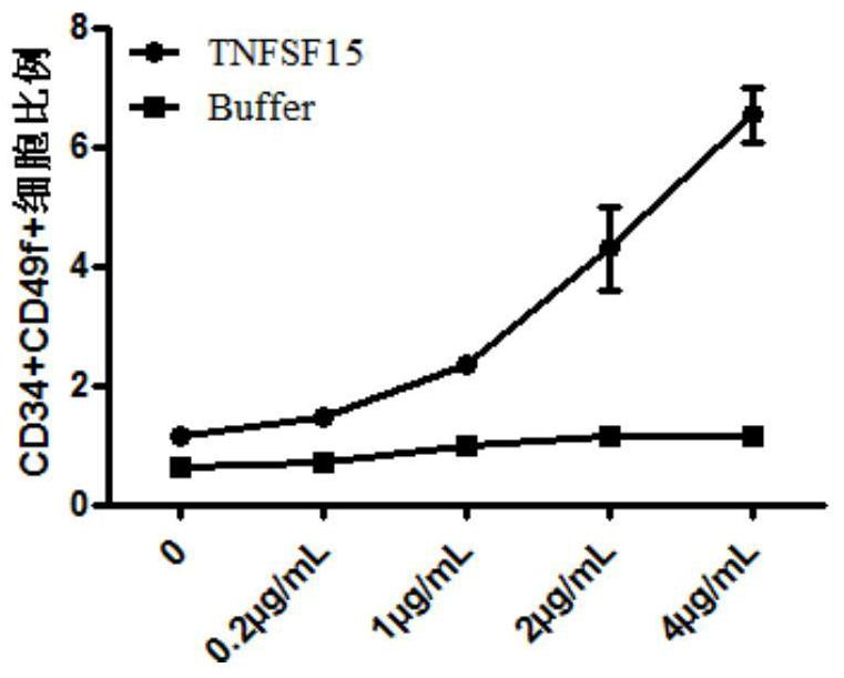 Use of tnfsf15 protein in the in vitro expansion of human umbilical cord blood hematopoietic stem cells