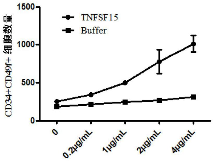 Use of tnfsf15 protein in the in vitro expansion of human umbilical cord blood hematopoietic stem cells