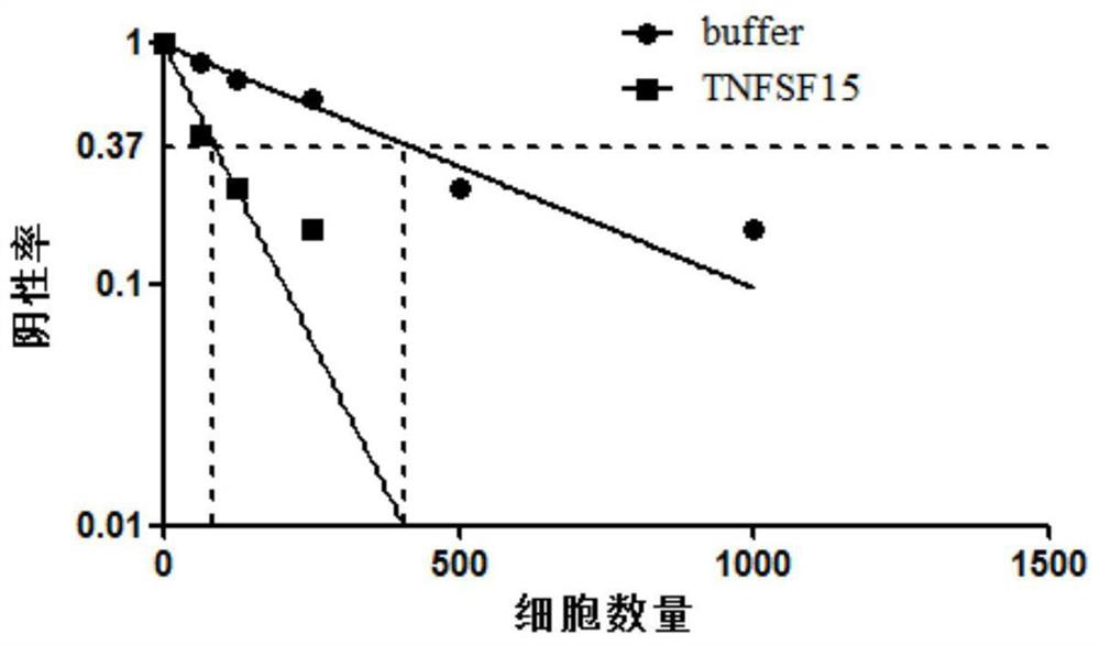 Use of tnfsf15 protein in the in vitro expansion of human umbilical cord blood hematopoietic stem cells