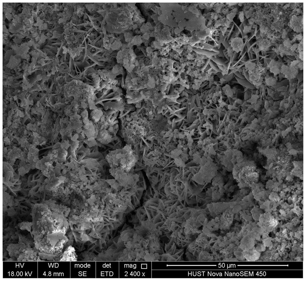Composite iron-carbon filler based on sludge iron-rich biochar as well as preparation and application of composite iron-carbon filler