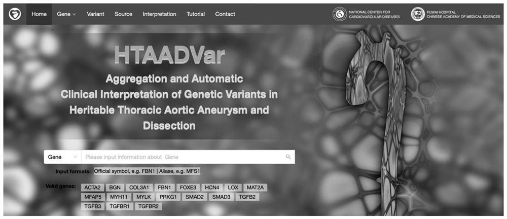 Automated interpretation system for genetic mutation of aortic disease (HTAADVar)