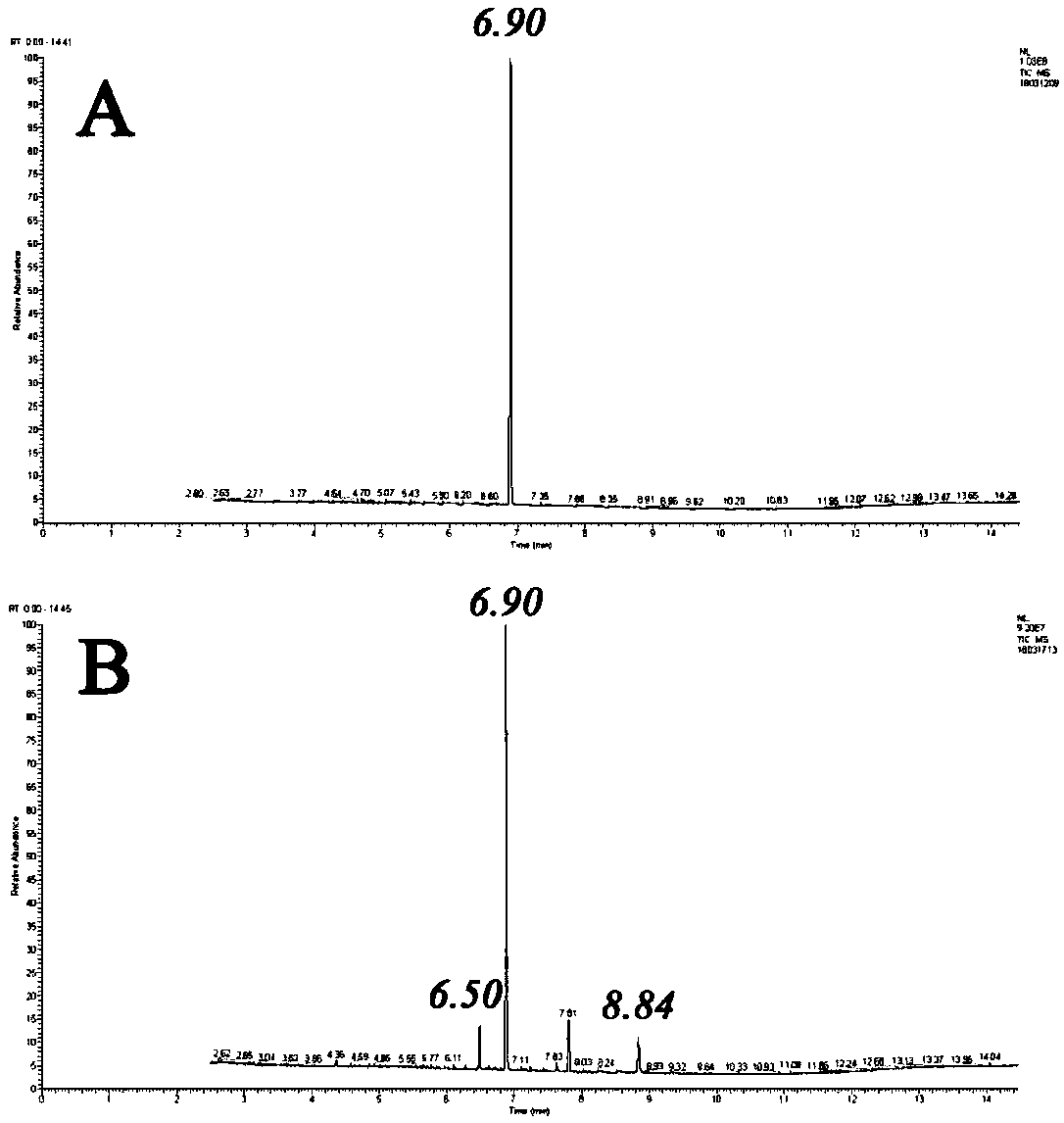 Method for catalyzing levulinic acid or levulinic acid ester to gamma-valerolactone by in-situ reduction of basic copper carbonate/hydroxyl aluminium oxide