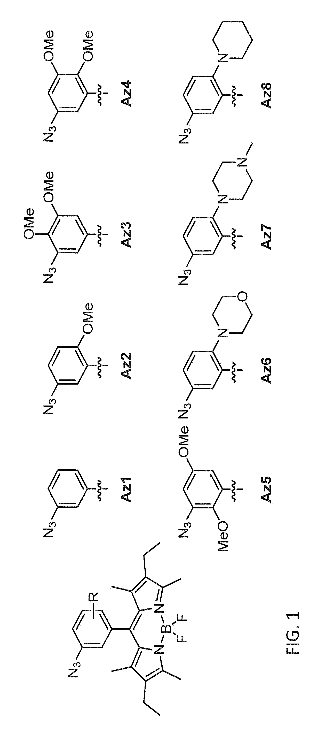 Reactive labelling compounds and uses thereof