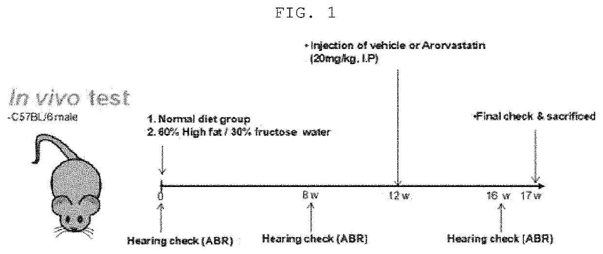 Composition for preventing or treating hearing loss, containing atorvastatin as active ingredient
