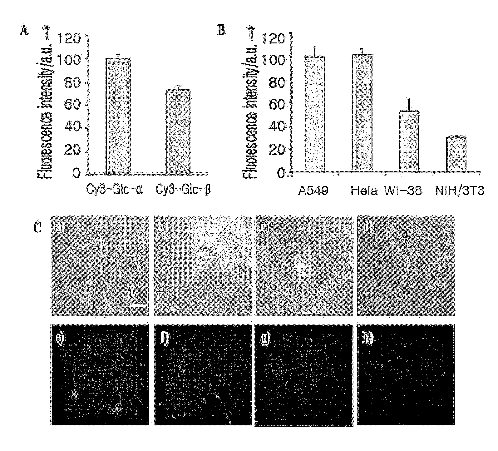 Fluorescent dye-labeled glucose bioprobe, synthesis method and usage thereof