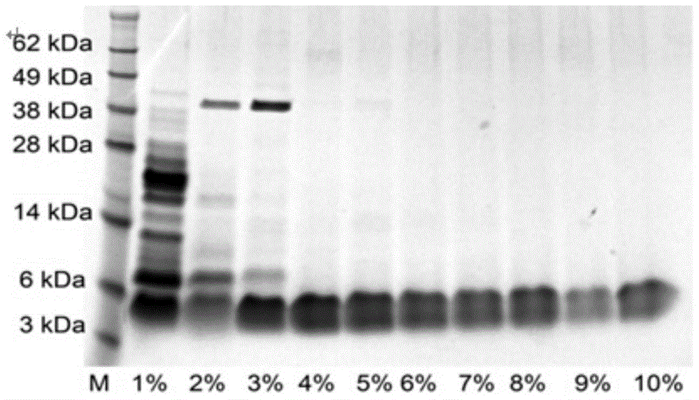 Expression vector and preparation method of HNTX (Hainantoxin)-IV analogue rHNIV-01