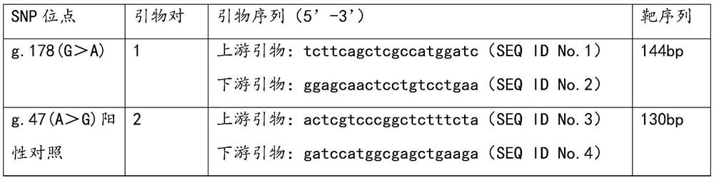 Application of mt-2a gene snp site in detection of susceptibility to heavy metal poisoning