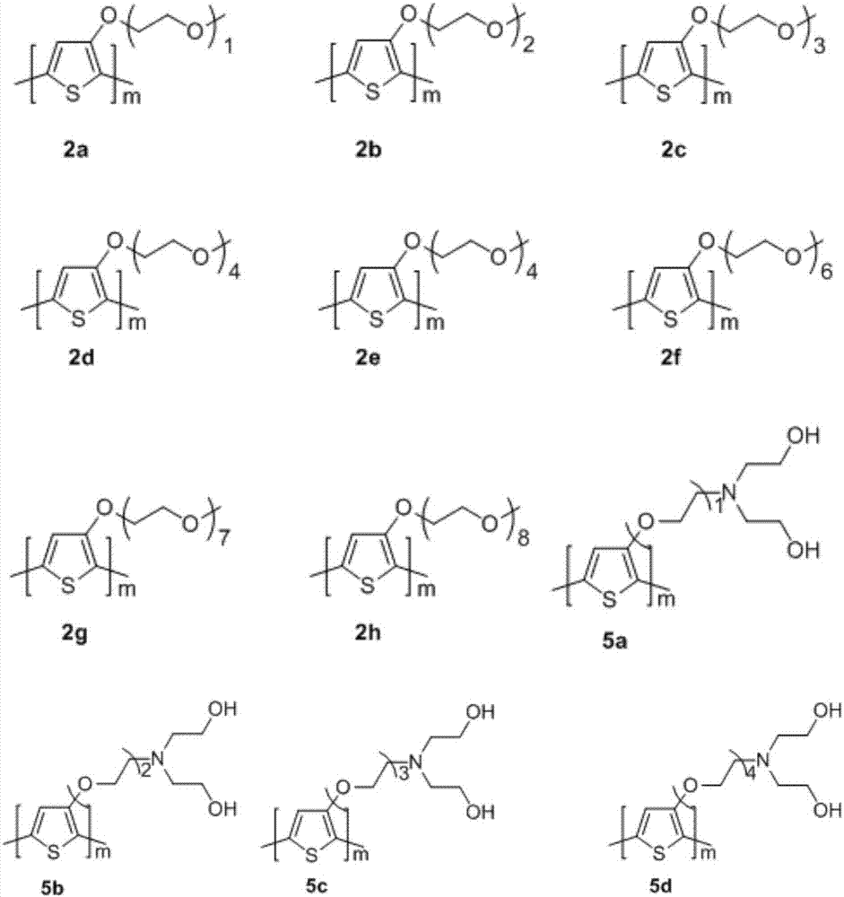 Polythiophene with hydrophilic group in side chain and preparation method thereof