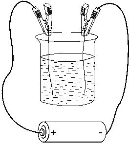 Electroplating device of electrode for electrophysiological experiments