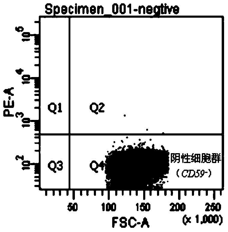 Method for reducing spontaneous mutation background of wild type human-rat hybridoma AL cells