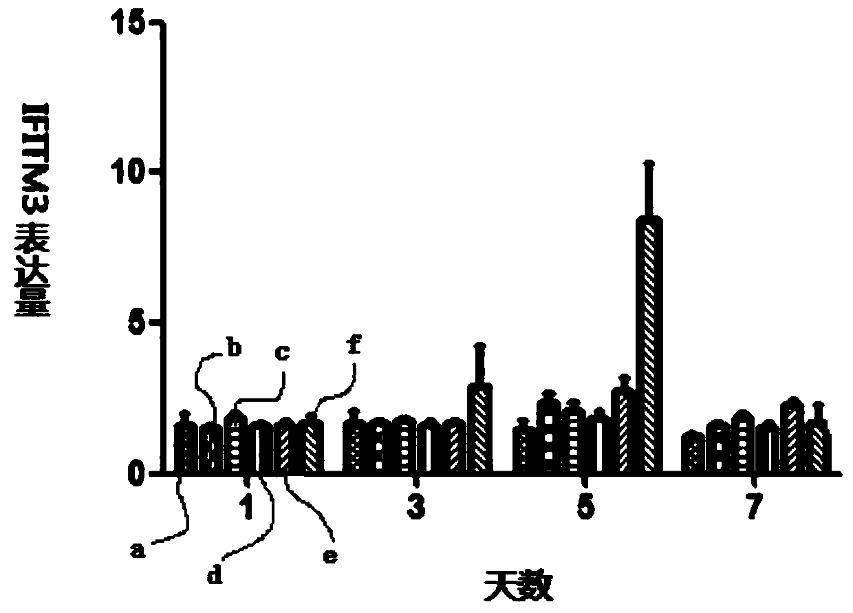 A kind of traditional Chinese veterinary medicine against chicken Newcastle disease virus disease and avian influenza and preparation method thereof