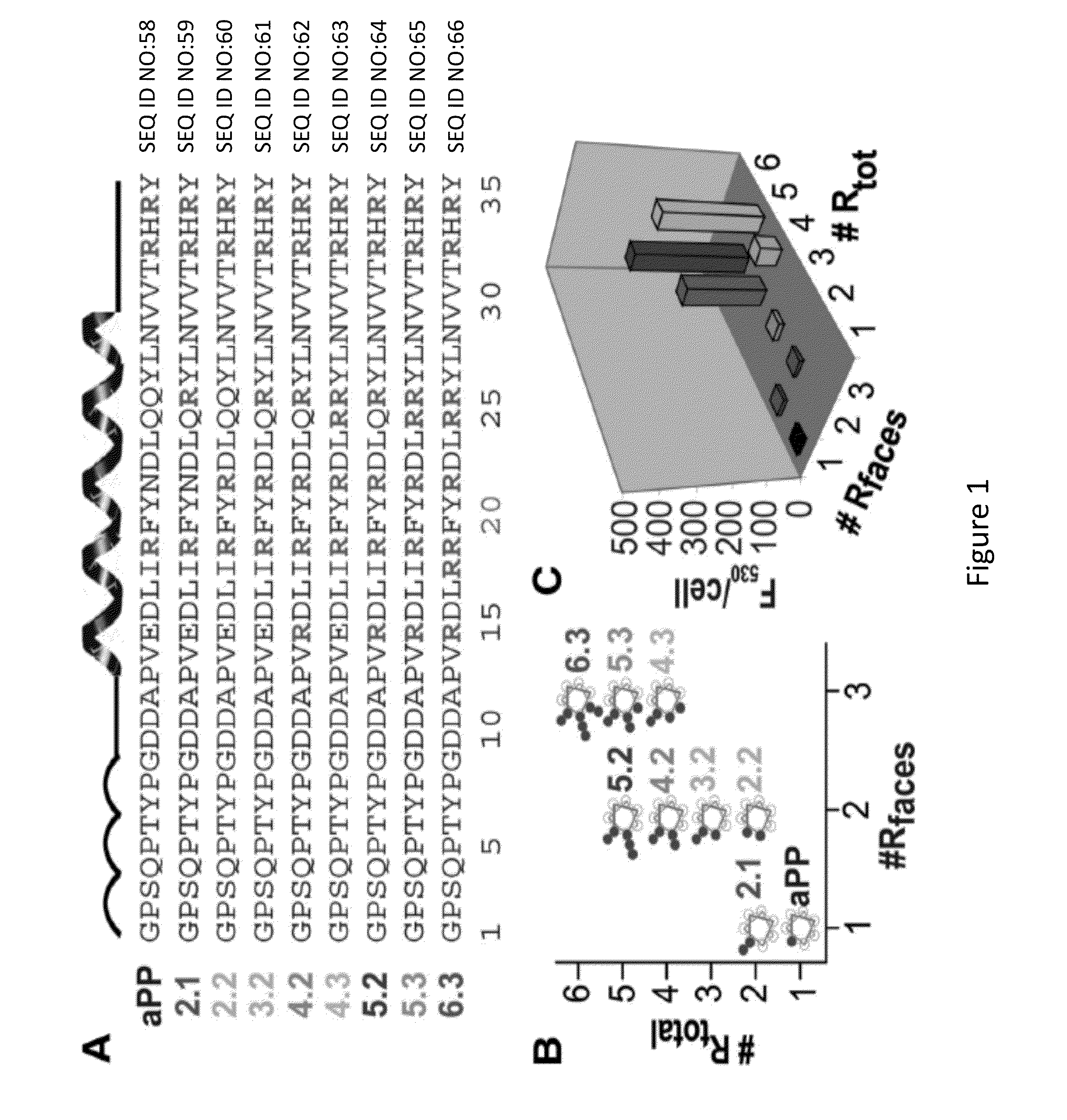 Modified Proteins and Methods of Use Thereof