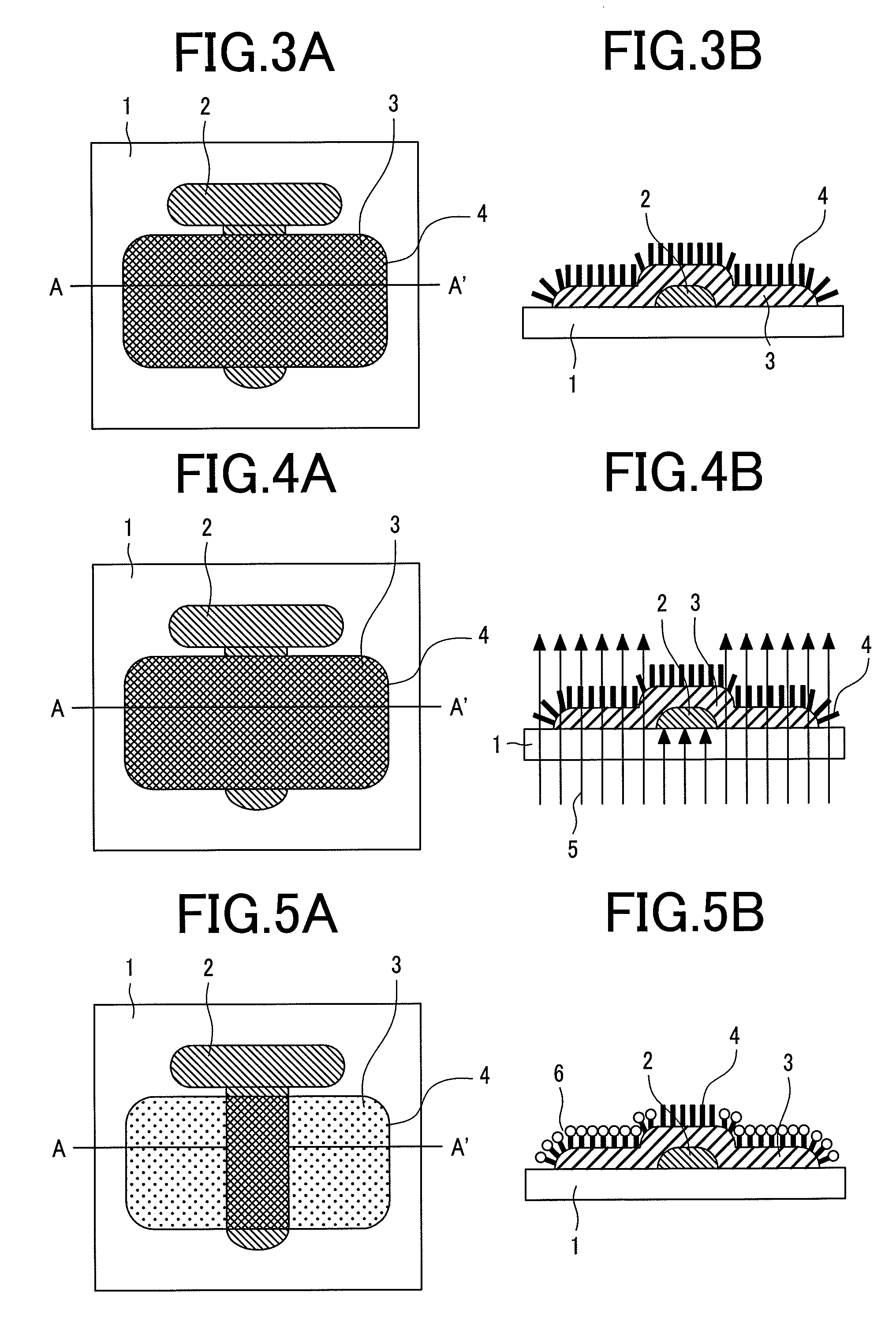 Method of manufacturing a semiconductor device having an organic thin film transistor
