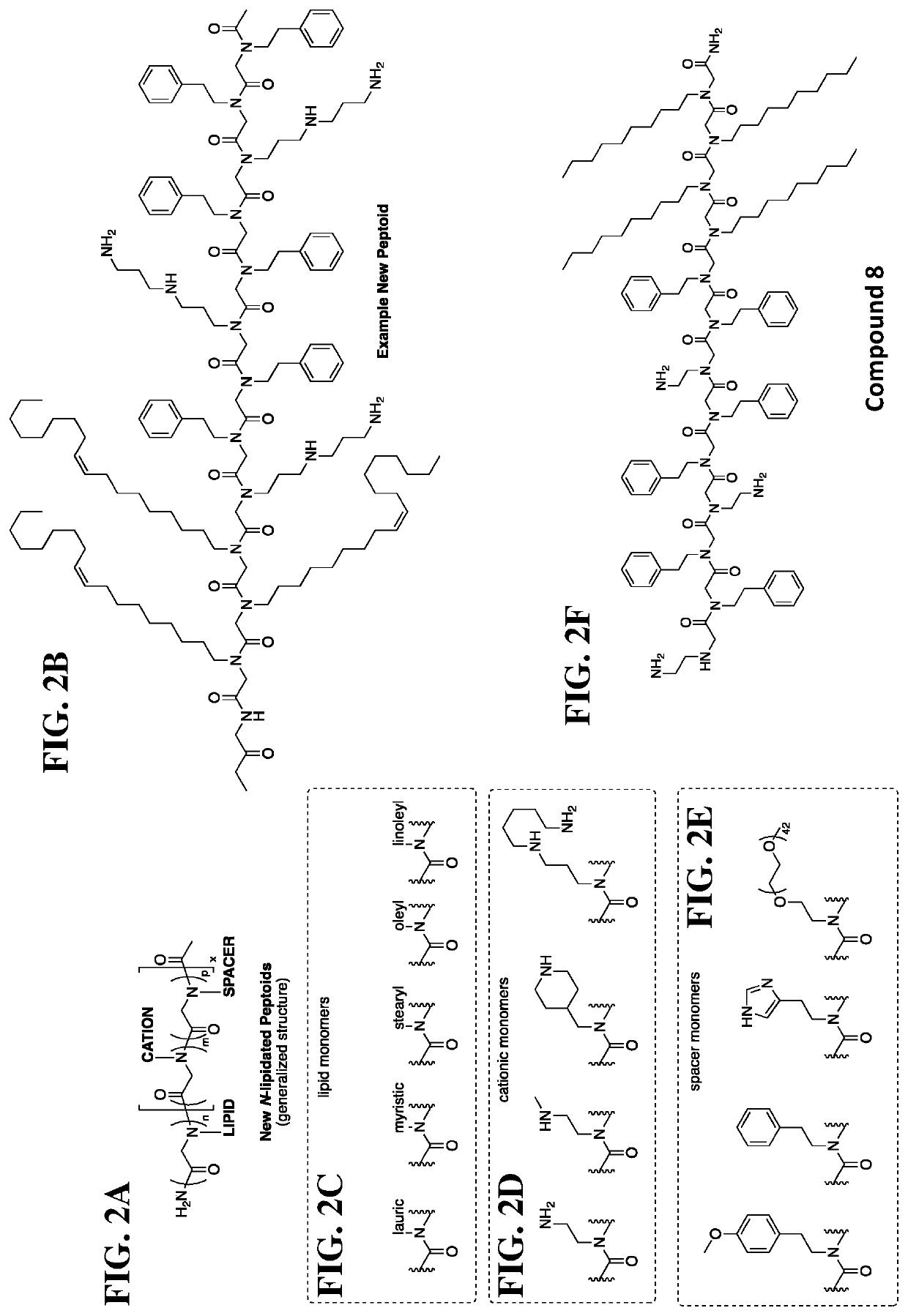 Lipidated cationic peptide-peg compositions for nucleic acid delivery