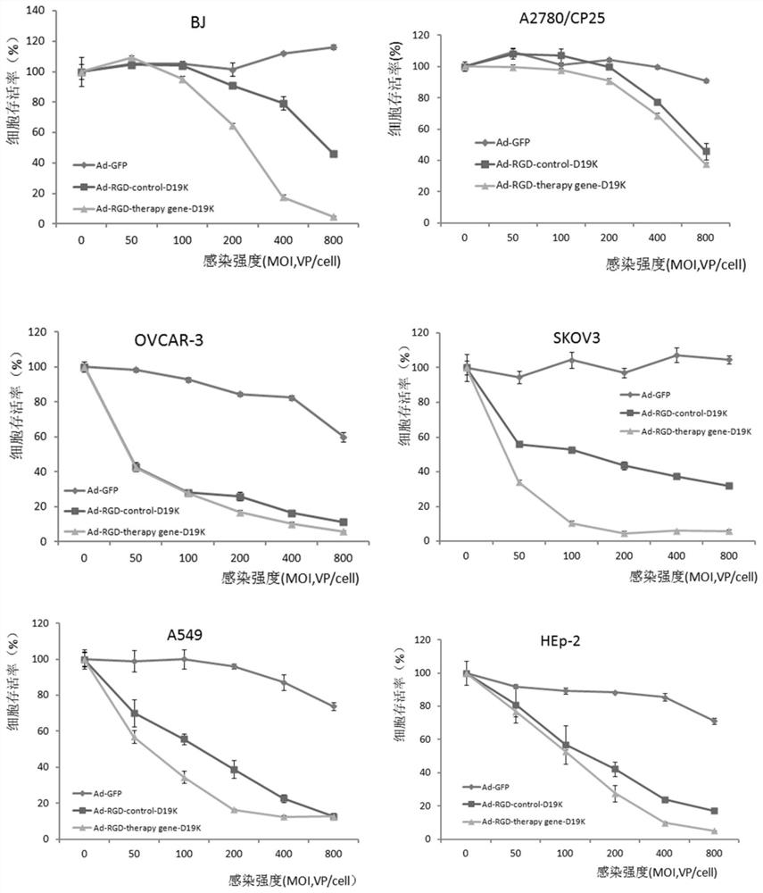 Recombinant oncolytic adenovirus, recombinant oncolytic adenovirus vector for preparing the recombinant oncolytic adenovirus, construction method and application thereof