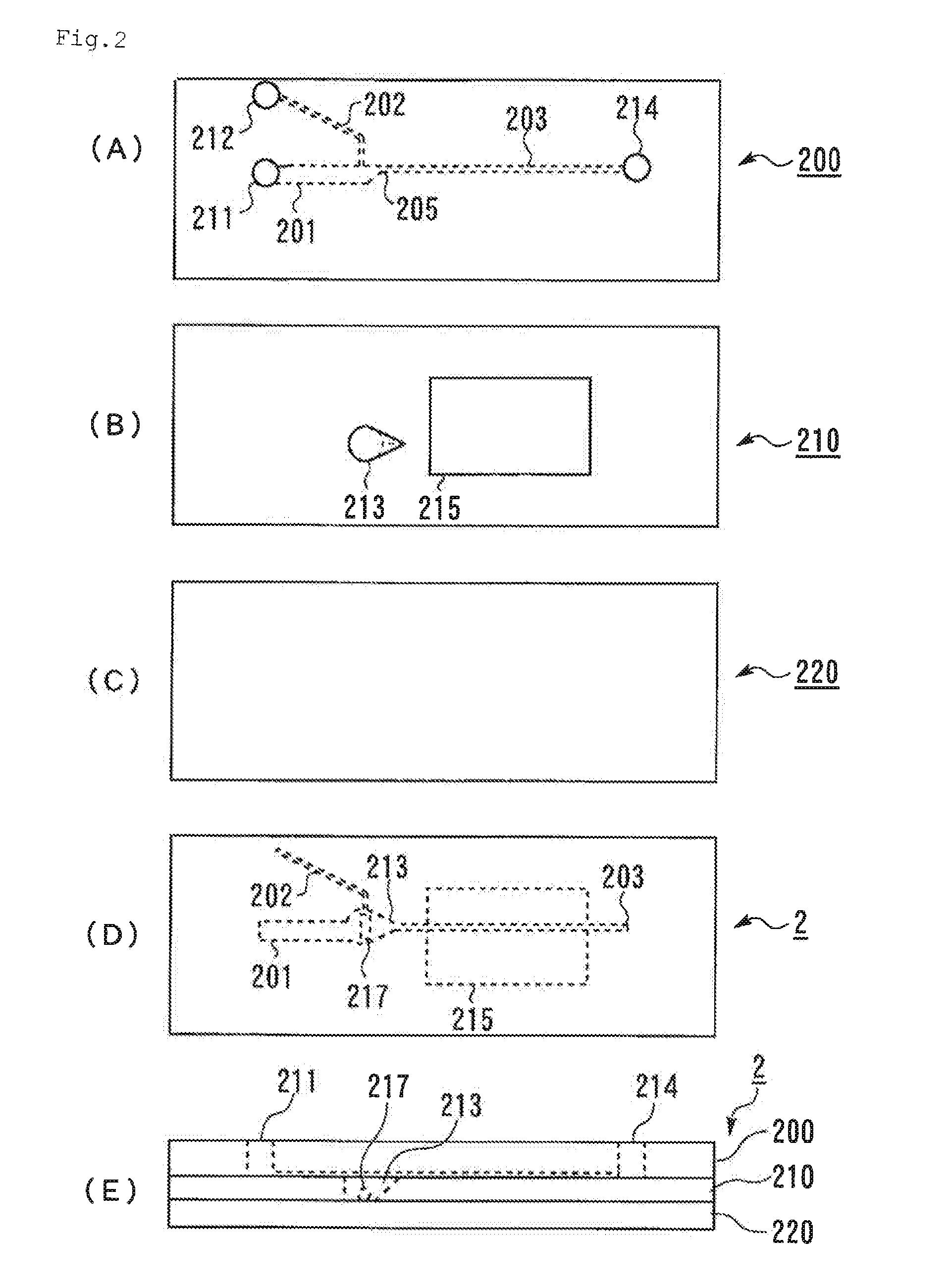 Microchip and blood monitoring device