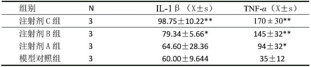 Chlorine dioxide containing injection and preparation method thereof