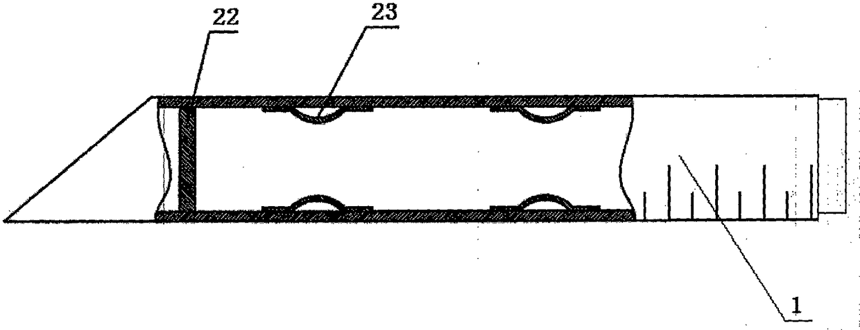 A tumor interventional therapy device