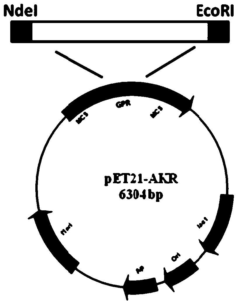 Method for cloning member group of isopentenyl transferase gene family