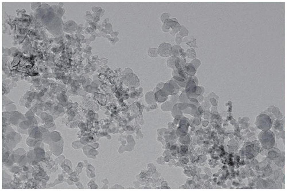 Nitrogen-oxygen-doped carbon nanohorn and preparation method and application thereof