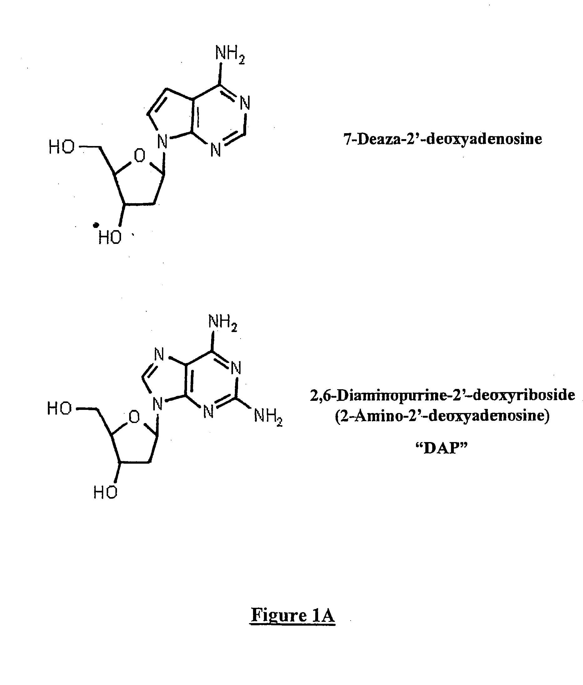 Methods for increasing in vivo efficacy of oligonucleotides and inhibiting inflammation in mammals