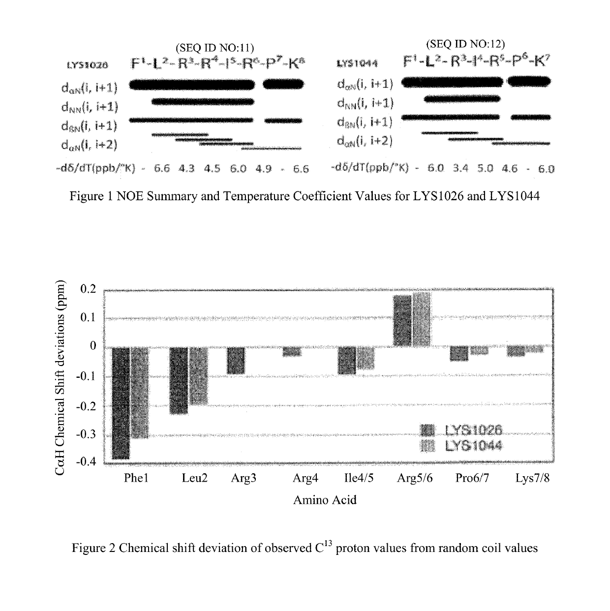 Dynorphin A analogs with bradykinin receptors specificity for modulation of neuropathic pain