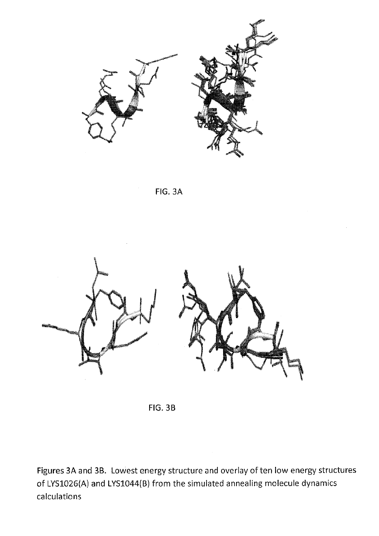 Dynorphin A analogs with bradykinin receptors specificity for modulation of neuropathic pain