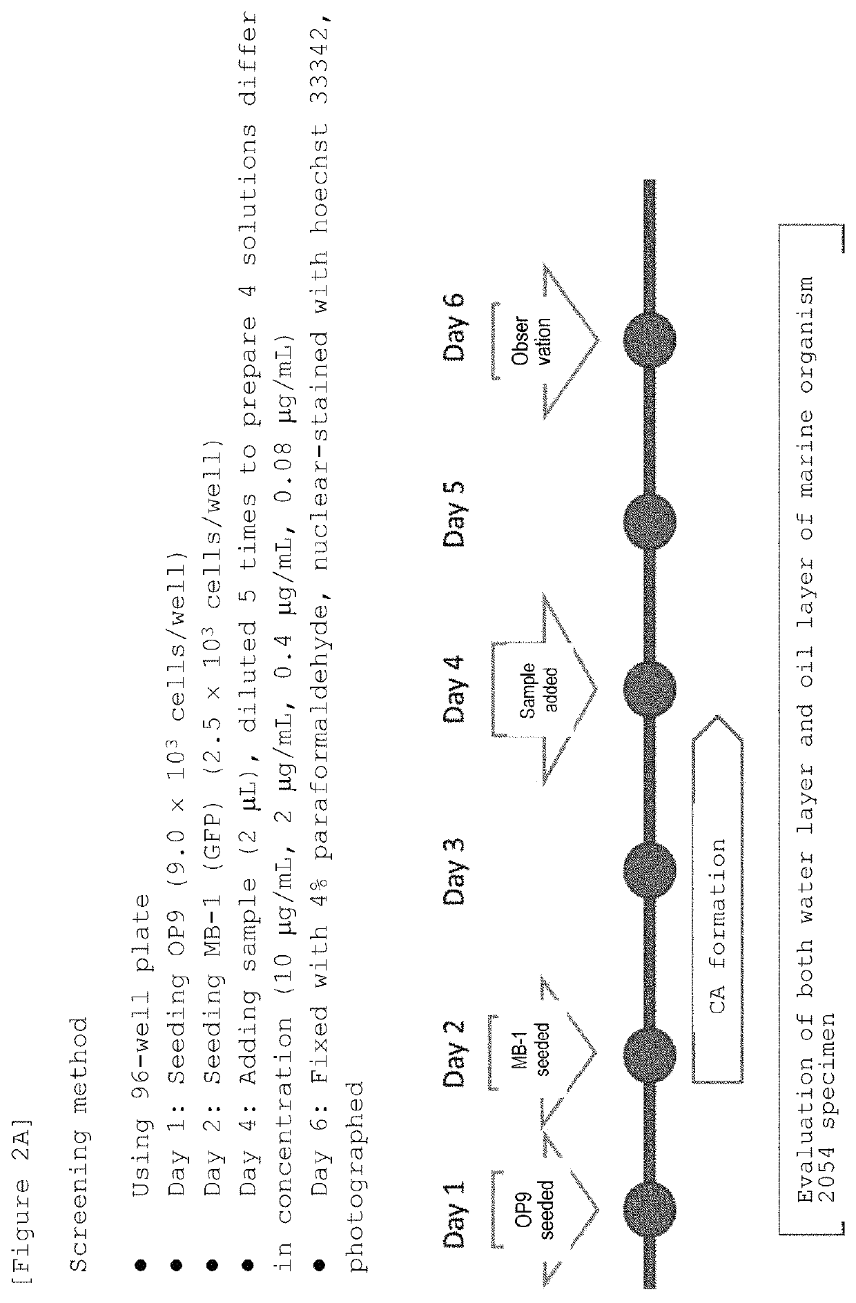 Marine organism-derived extract, compound, and medical composition having niche formation suppressing activity of leukemic stem cells