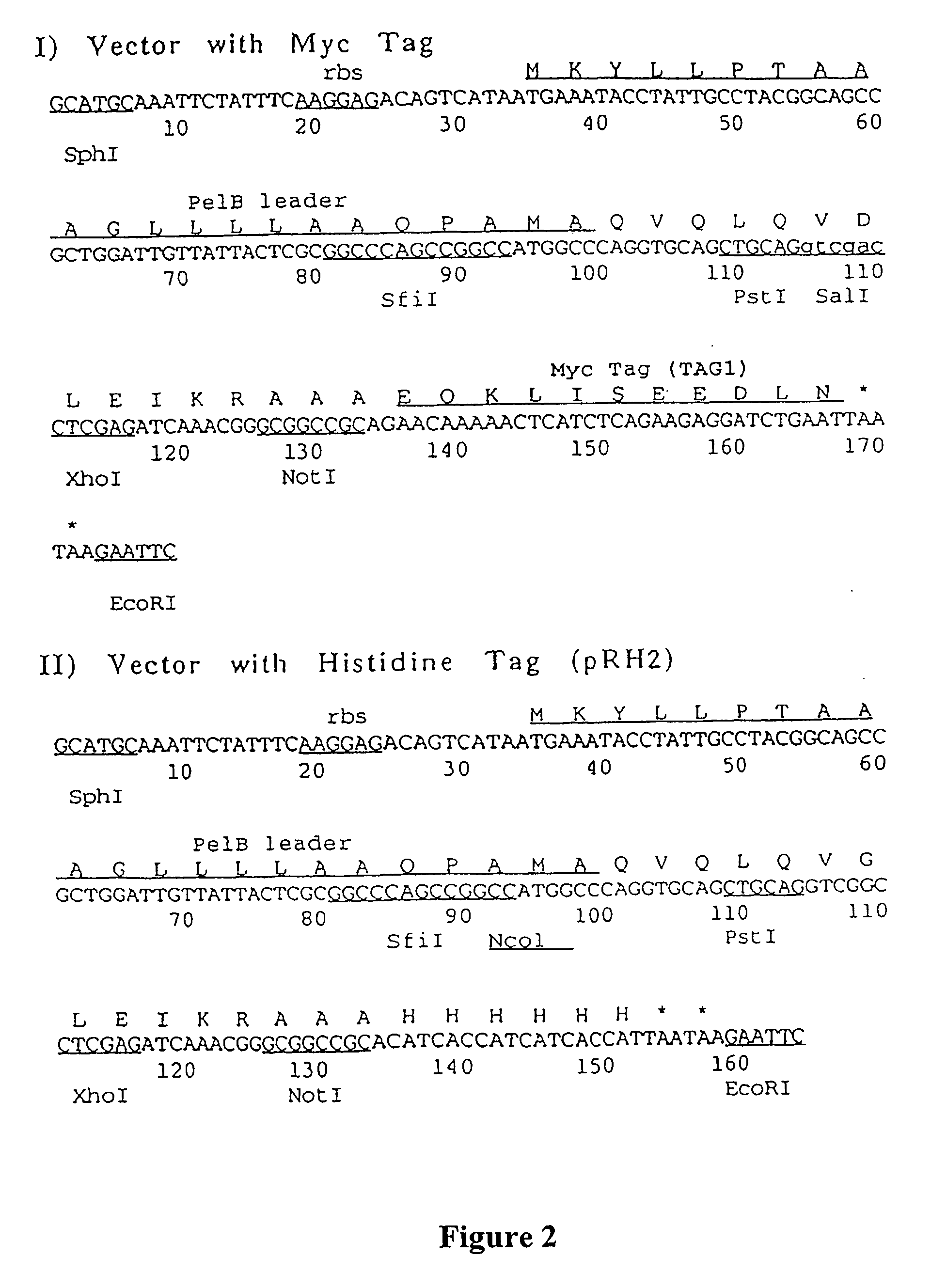 Materials and methods relating to fusion proteins for inducing an immune response