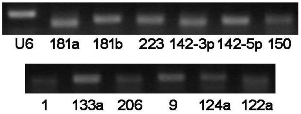 Non-small cell lung cancer markers, detection methods and applications thereof